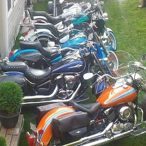 5 bikes of 2012. This was what our yard looked like in the summer of 2012. Only 2 of these are still with us today. One of which is a show bike & the 