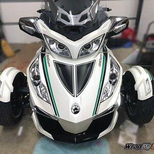 Brake stripe kit Kelly Green  Carbon fiber cf rally