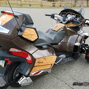 Woody Panels saddle bag speaker  rear trunk