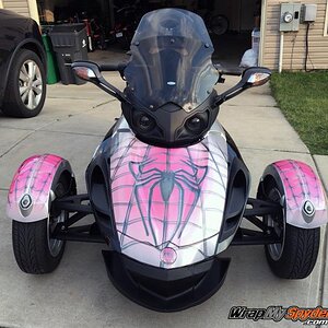 Spidy on web Pink with Glitter Sparkle laminate