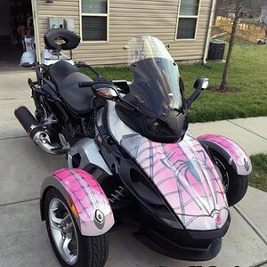 Spidy on web Pink on RS model