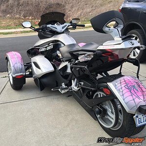 Spidy on web Pink rear fender kit