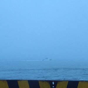 Spyder on the Bayou Cajun Conntry 078