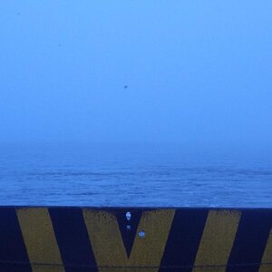 Spyder on the Bayou Cajun Conntry 077