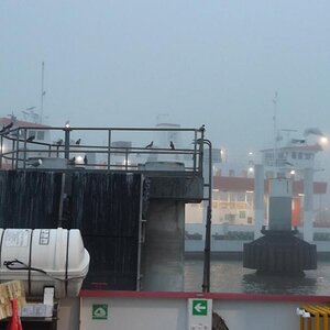 Spyder on the Bayou Cajun Conntry 074