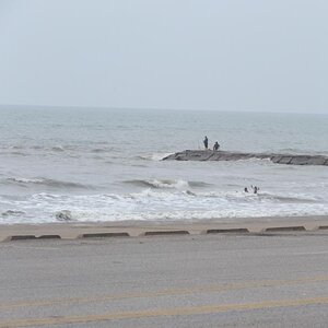 Spyder on the Bayou Cajun Conntry 072