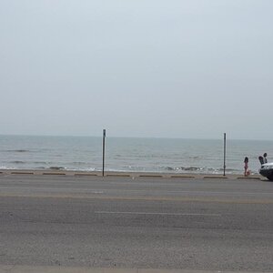 Spyder on the Bayou Cajun Conntry 071