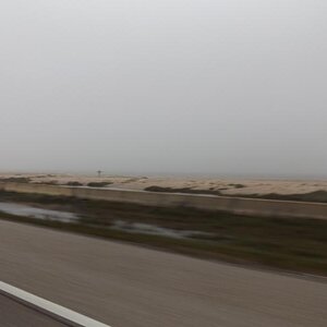 Spyder on the Bayou Cajun Conntry 088