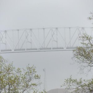 Spyder on the Bayou Cajun Conntry 093