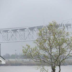 Spyder on the Bayou Cajun Conntry 094