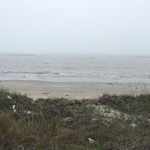 Spyder on the Bayou Cajun Conntry 097