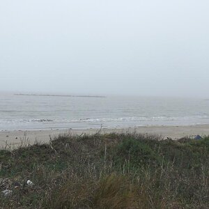 Spyder on the Bayou Cajun Conntry 098