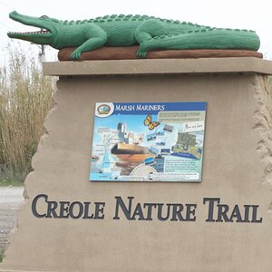 Spyder on the Bayou Cajun Conntry 100