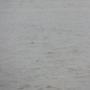 Spyder on the Bayou Cajun Conntry 102