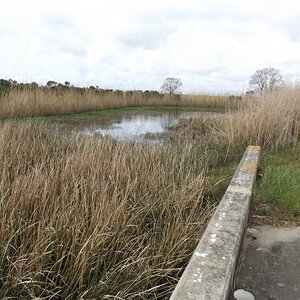 Spyder on the Bayou Cajun Conntry 113