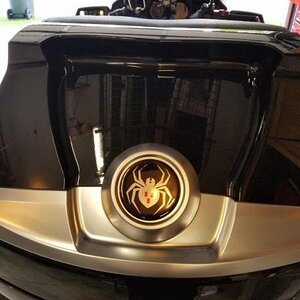 close up rear trunk spider