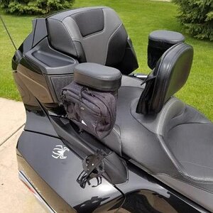 back end shot showing my little chrome spiders, backrest, armrests and storage pouch's , utopia backrest