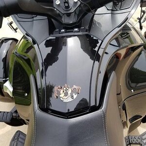 spyder dock and my Taz emblem for keeping glove finger scratch's off glove box lid
