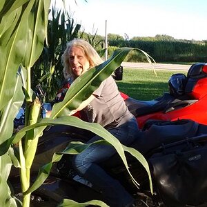 IMG 20160813 182742039