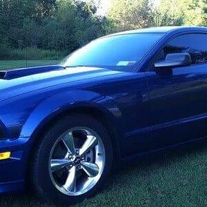 stang