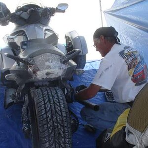 308919 2141639632167 6052389 n