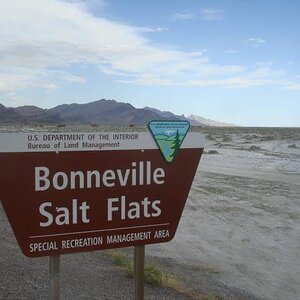 315096 2141601311209 3132020 n