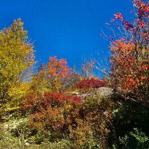 IOverlook off the Blue Ridge Pkwy.