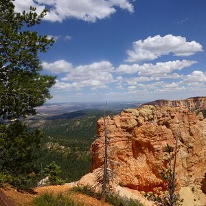 P1030957 Looking out over the canyon