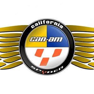 spyder logo wings gold ca