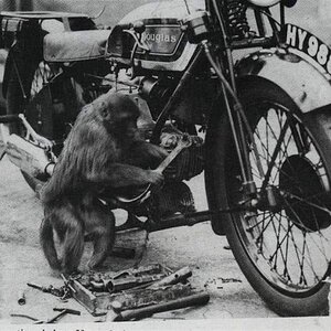 monkeymechanic