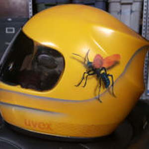 20170530 082508 001b