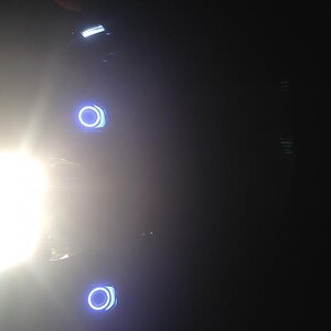 IMG 6596
Tricrings on the fog lights, wired to running lights on fenders
Farkle