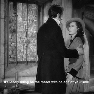 1ef0509556d3d1290968b78655c5361b