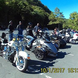 001  roadkill encounter