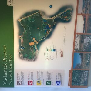 38AA593F 9FBF 438A B965 3C7D089006FD