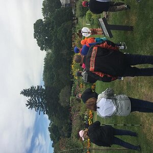 7D75C13F C322 4E99 BF24 67630931213A