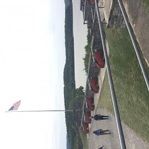 DD118C73 E909 4F95 B798 411F6B60C5C2