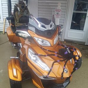 45218047 2353718861311459 2717087845792612352 n (1)