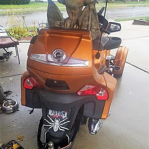 45392881 2355283904488288 4562266977963343872 n (1)