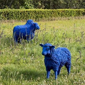 Chateau de Villarlog _ France