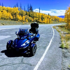 C6FE9C5E 5A17 4B97 98CD 7FA43259C55C