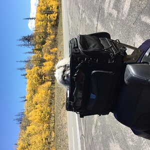 151F2F3B 6E9F 4173 9E7F F1ECD5244DB1