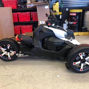 55244568 2111239158923093 8982358662844514304 n