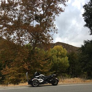 This is what you see when you climb hwy 78 from the desert floor