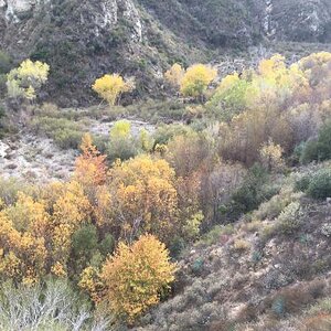 What can one say you have to stop and smell the trees!!