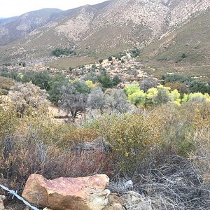 Climbing to top of Julian looking to the desert.