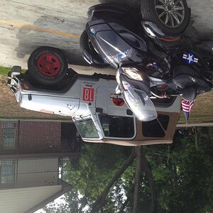 Dino theme Bossier LA