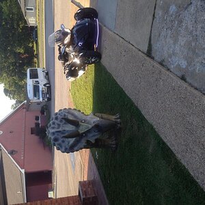 Dino, Murfreesboro AR