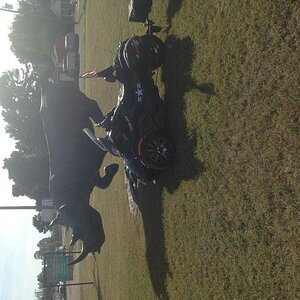 mom loves rhinos & found this in Jewett TX