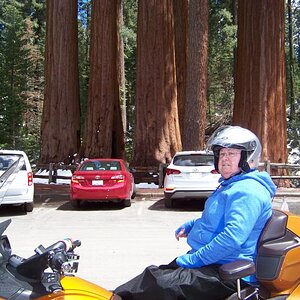 SEQUOIA NATIONAL PARK